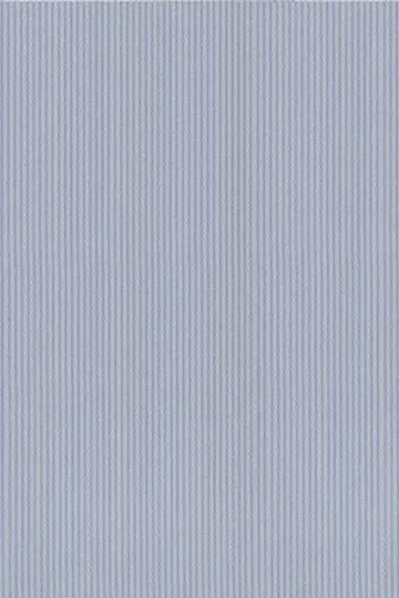 Blue On Blue Self Stripe Shirt