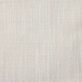 Lace Fabric Swatch