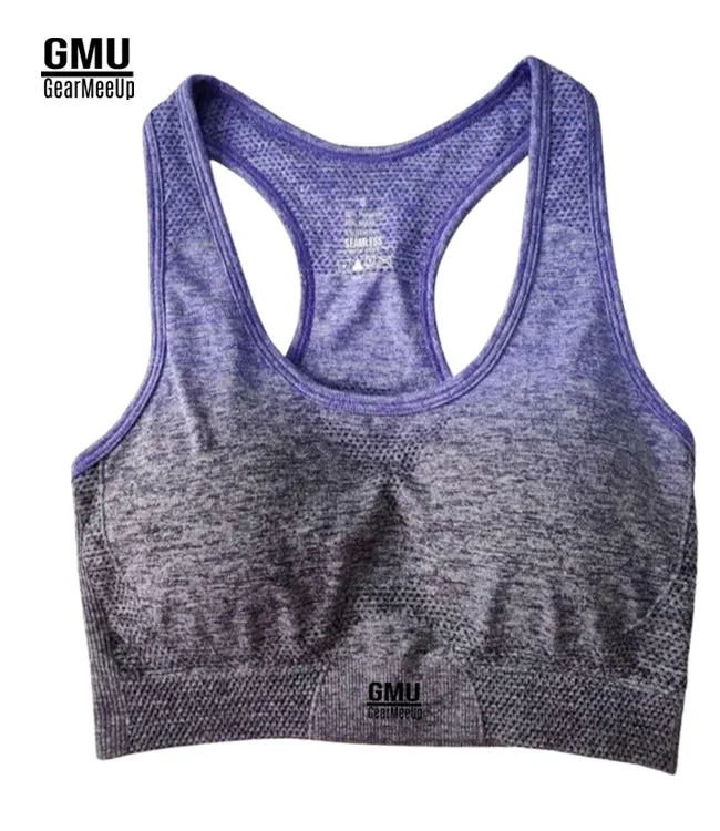 Ombre Seamless Sports Bra