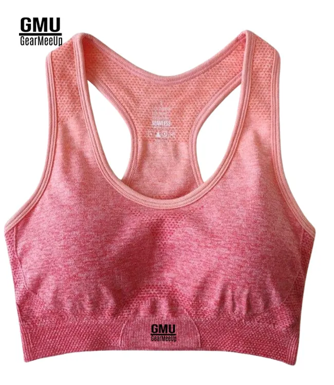 Ombre Seamless Sports Bra