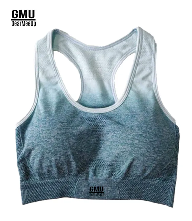 Ombre Seamless Sports Bra