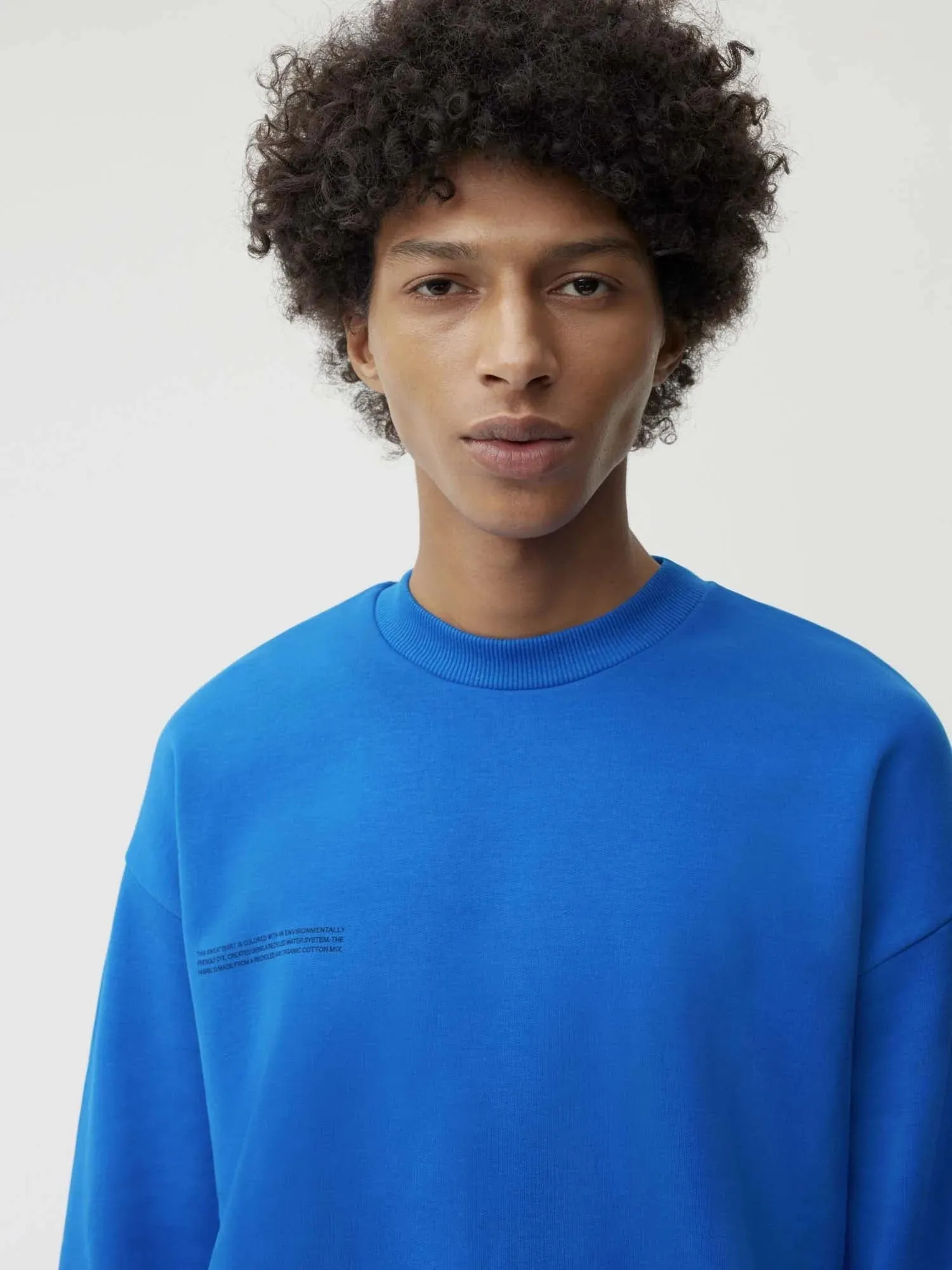 Signature Sweatshirt - Bright Tones—cobalt blue