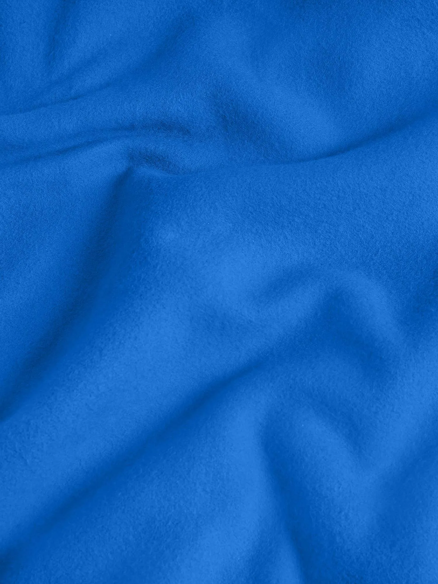 Signature Sweatshirt - Bright Tones—cobalt blue