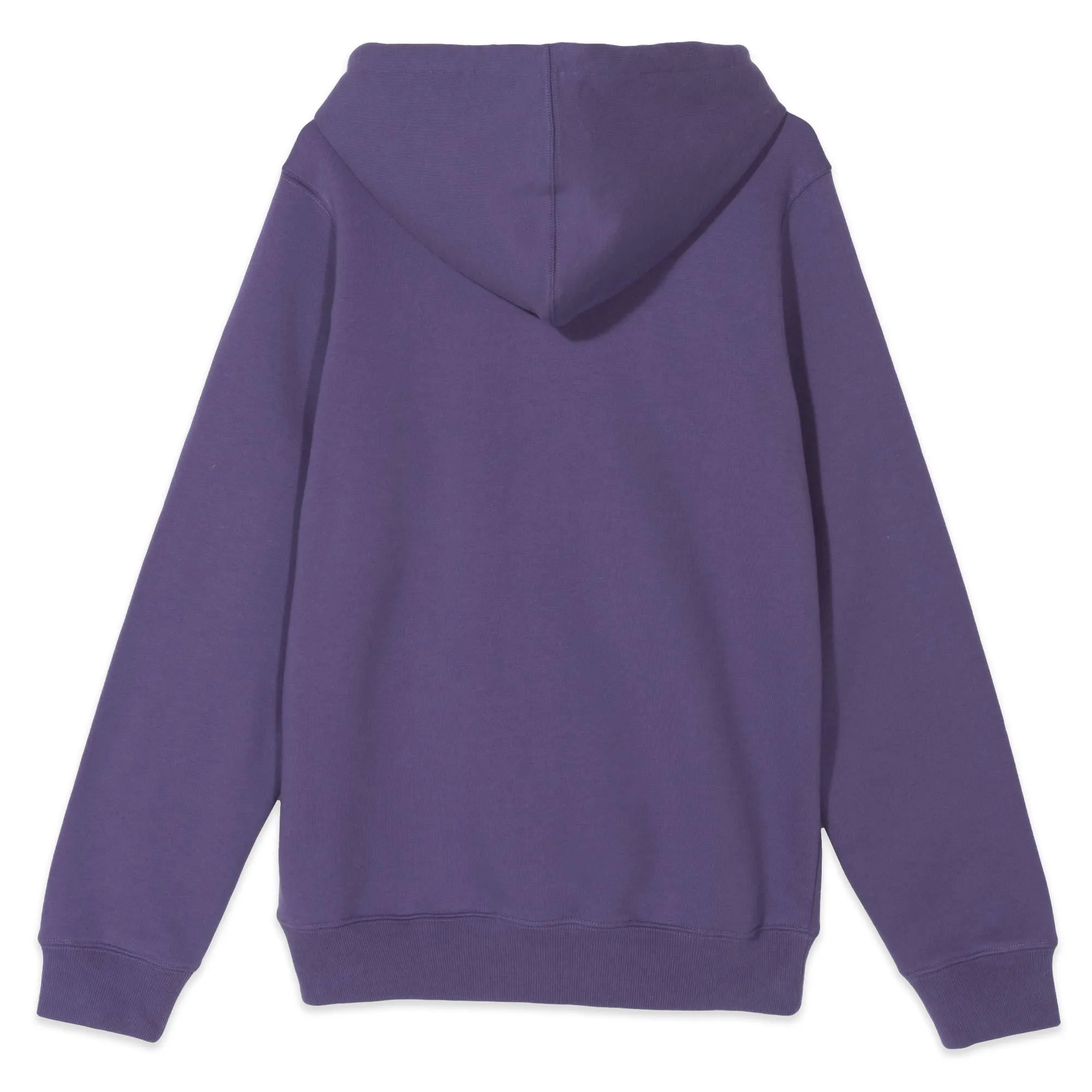 Stussy Coastline Hoodie Purple